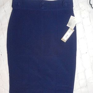 New York and Company- Eva Mendes Blue Skirt Size 8